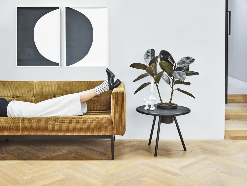 Criando harmonia no lar: móveis Feng Shui