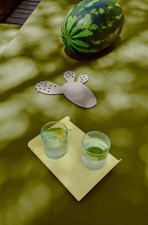 Bandeja ALTO 23x17cm