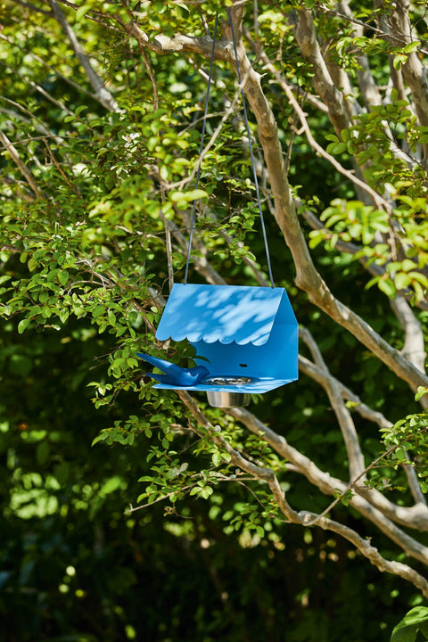 Comedero para pájaros PICOTI