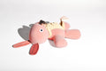 CO9 XS TEDDY
