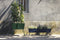 Jardinera alargada BASKET de la marca francesa Fermob. Comprar online Fermob. Rincón del Mueble