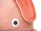 CO9 XS TEDDY