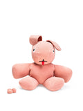 CO9 XS TEDDY