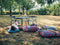 Mesa LUXEMBOURG KID de 76 x 55.5 cm de la marca francesa Fermob. Comprar Fermob online. Rincón del Mueble