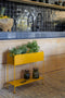 Picolino novedad Fermob en Rincón del Mueble RDM MAdrid España 